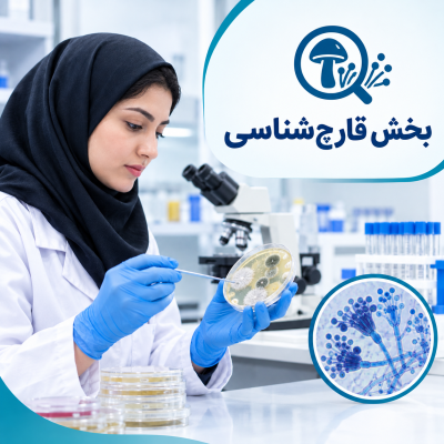 بخش قارچ شناسی