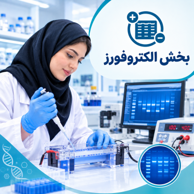 بخش الکتروفورز