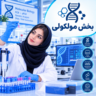 بخش مولکولی